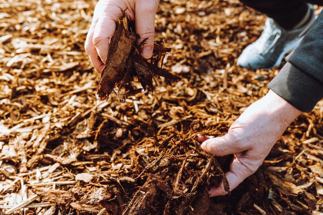 Gardener raking autumn leaves into a compost bin in a serene backyard.